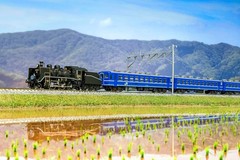 KATO N Gauge C56 160 2020 2 Railway Model Steam Locomotive Plastic Japan