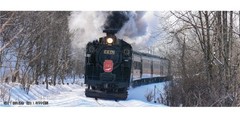 KATO N Gauge 2021-1 C11 171 JR Hokkaido Tourist Steam Locomotive Model