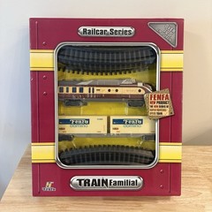 VTG Fenfa Railcar Series Train Familial 1601B-5B 1:87 Tested Battery Operated