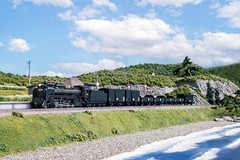 KATO HO gauge D51 standard mass production model railway steam locomotive 1-203