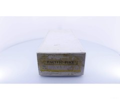 Pacific Pike HO Brass Burlington Northern E9B 9905 (SS-140)
