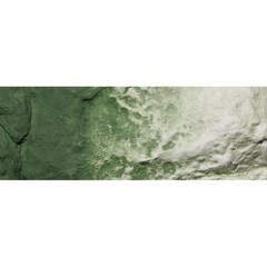 Woodland Scenics Earth Color Undercoat Green/8oz WOOC1228 Train Scenery Non