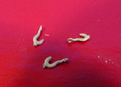 O/On3/On30 CHAIN HOOKS FOR TENDERS, LOGGING WISEMAN BACK SHOP BRASS PARTS BS-045